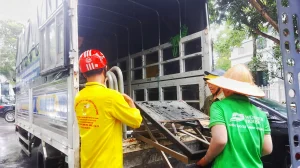 Dịch Vụ Chuyển Nhà Trọn Gói